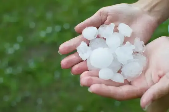 Hail Damage