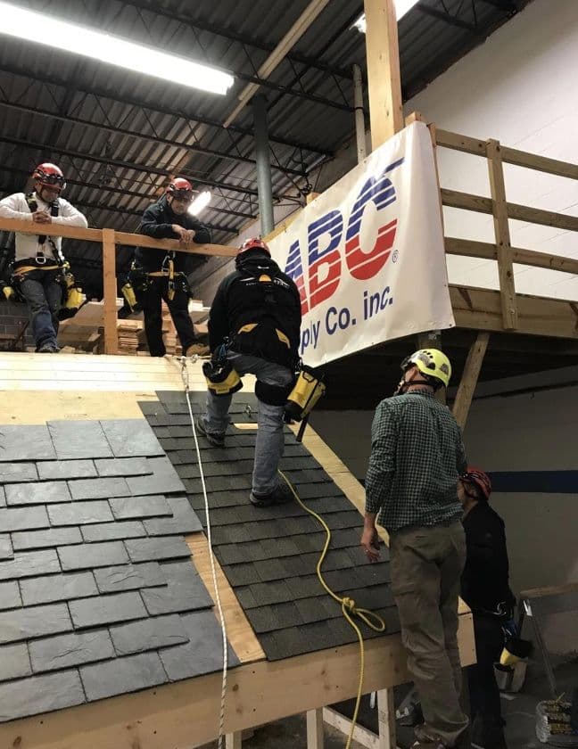 In House Training