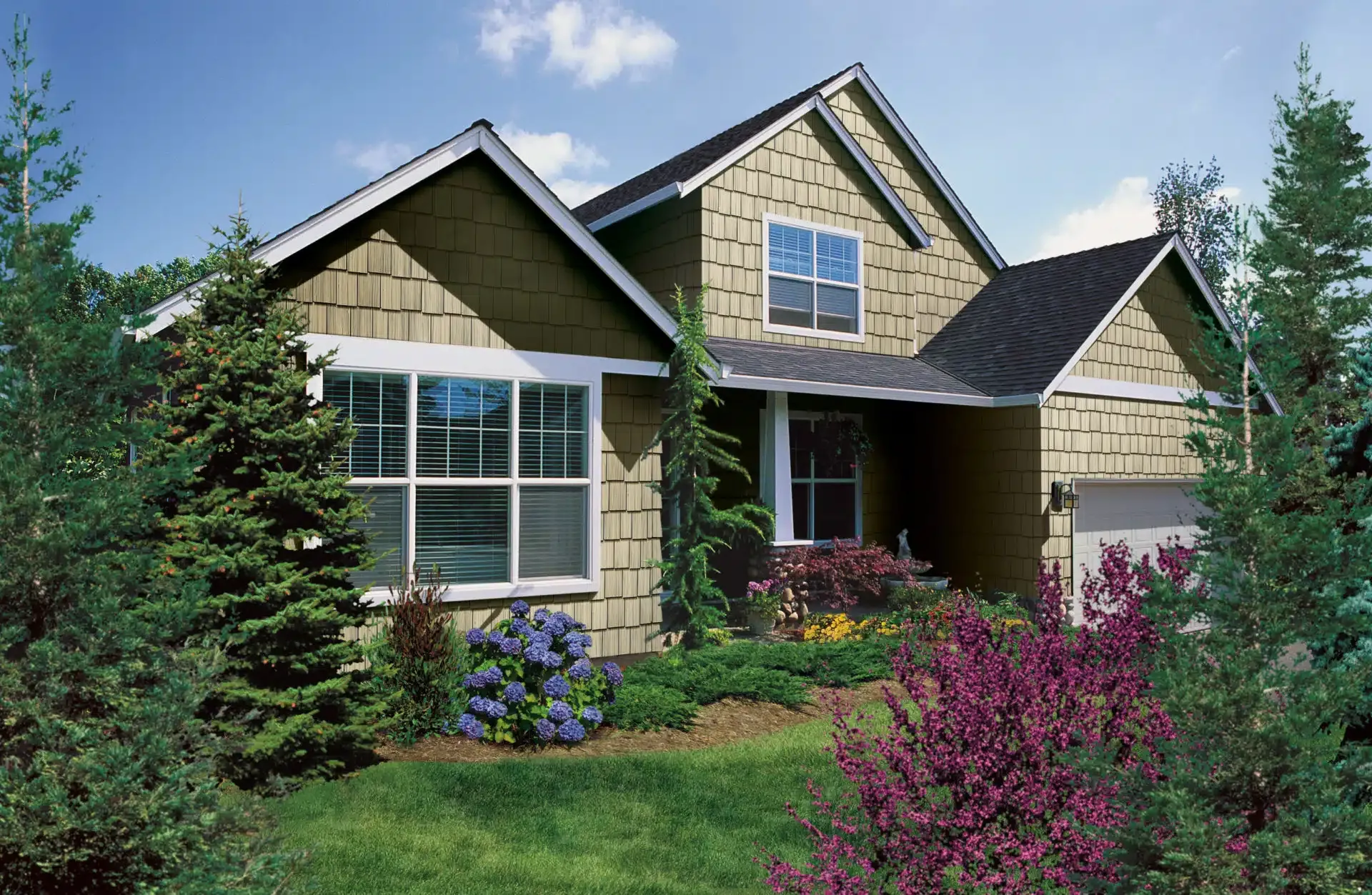 Vinyl Replacement Windows
