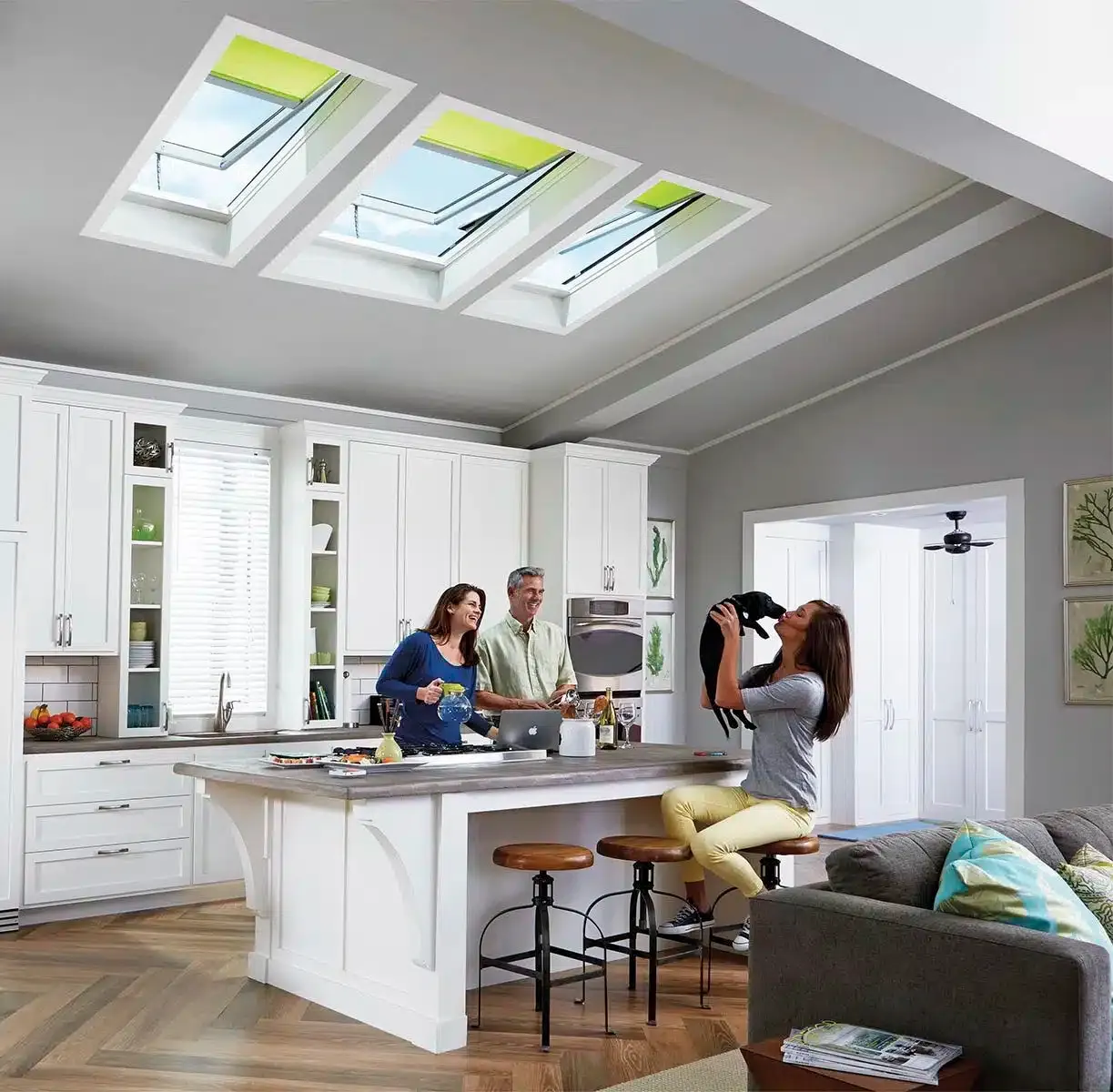 Skylight