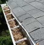 Leaf Clogged Gutters