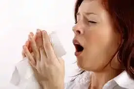 Reducing Indoor Allergens