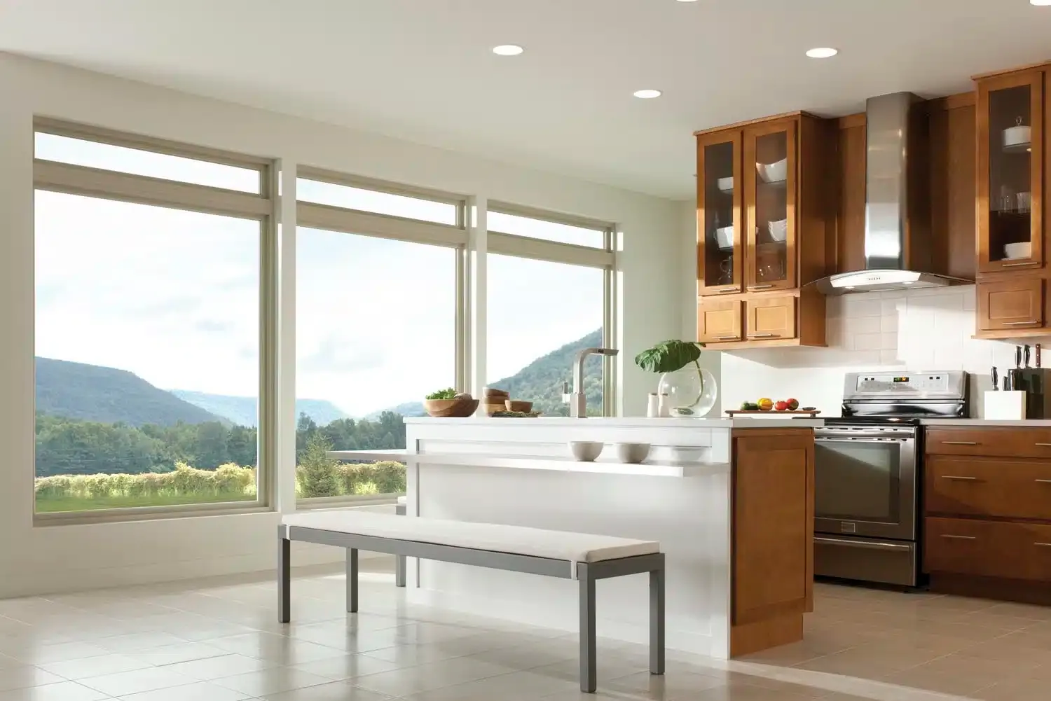 Vinyl Replacement Windows