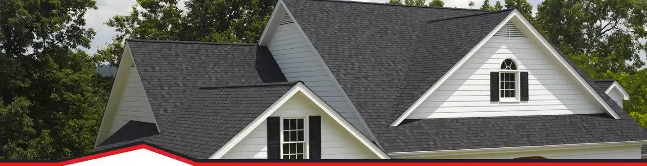 Roof Shingles