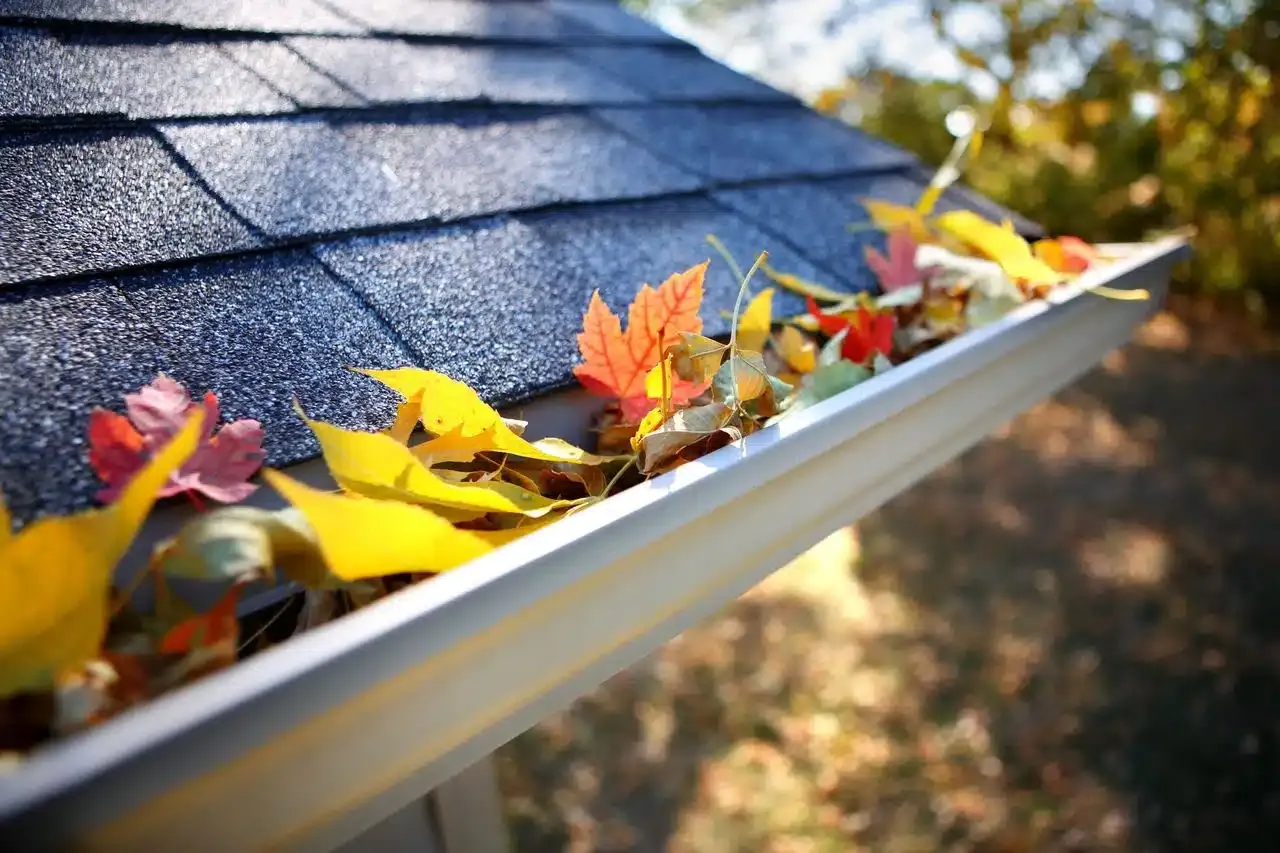 Gutter Guard